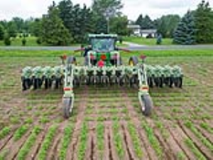 07 Row Crop Cultivator